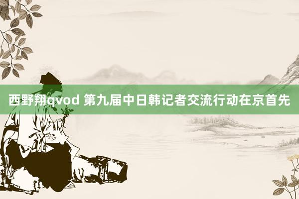 西野翔qvod 第九届中日韩记者交流行动在京首先