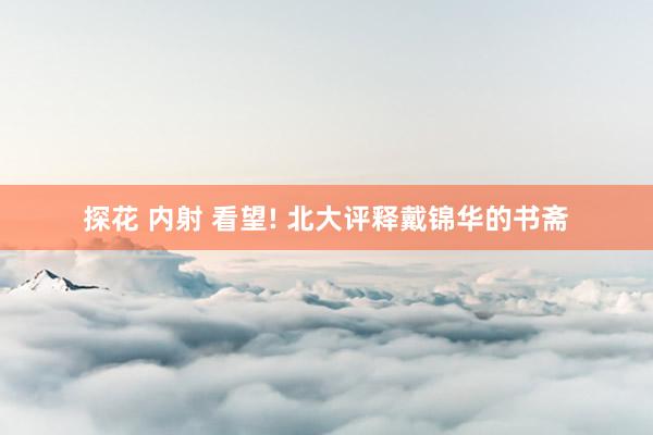 探花 内射 看望! 北大评释戴锦华的书斋